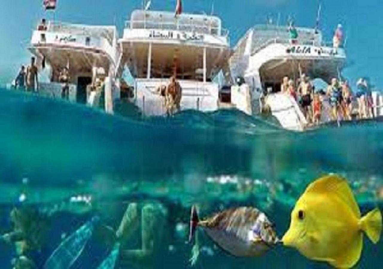Joynant-Gouna Kite Road-2Room Mangroovy Free Beach Access - Pool View- Hurghada Exterior foto